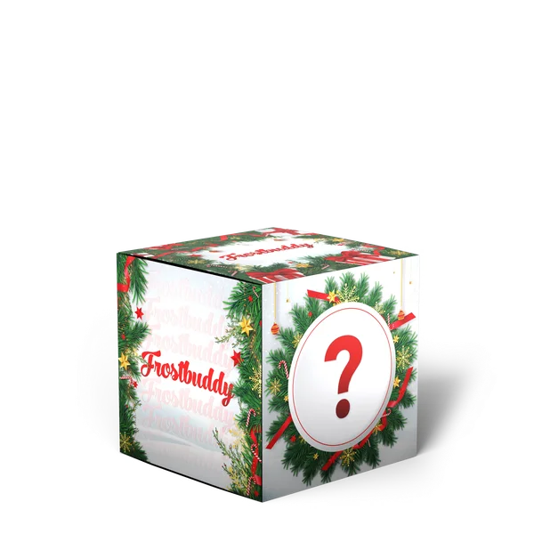 Christmas Mystery Buddy Box 2025
